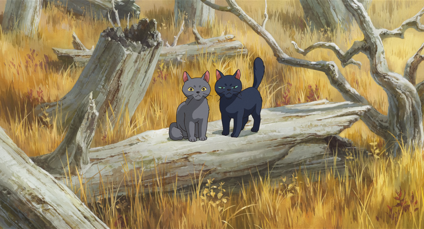 Mary y la flor de la bruja (Hoshizora)